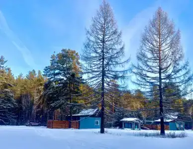 Все Свои - 1