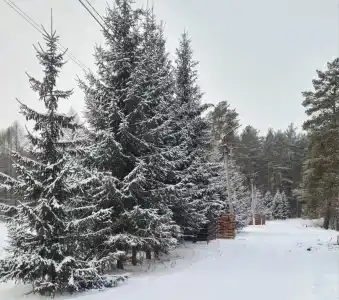 Все Свои - 2