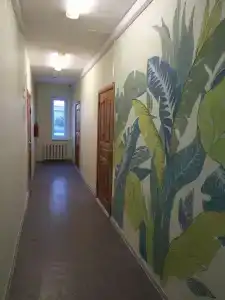 Флора - 1