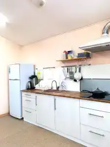 Флора - 4