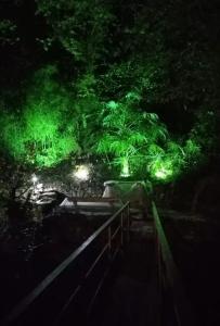 Anchor Villa - 11
