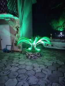 Anchor Villa - 13