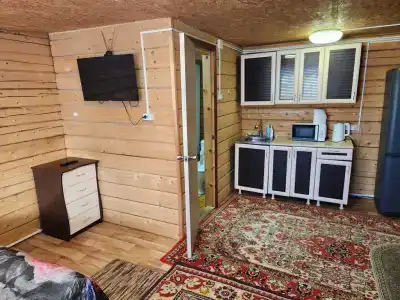 Дом с видом на Телецкое озеро - 3