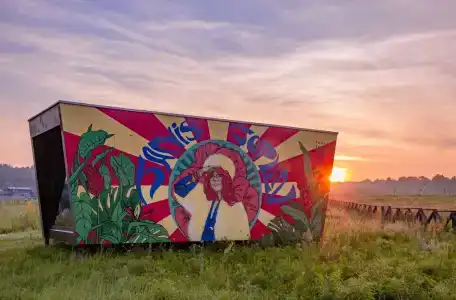 Дикая Мята - 222