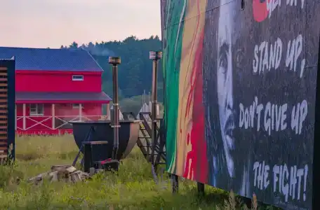 Дикая Мята - 237