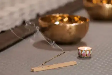 Дикая Мята - 240