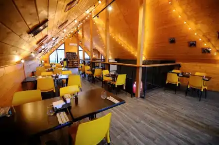 Дикая Мята - 241