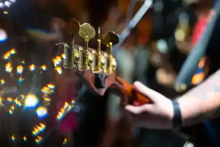 Дикая Мята - 253