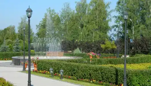 Вега - 4