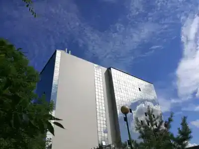Чайка - 3