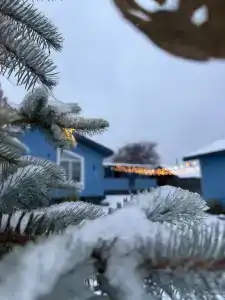 Дачная, 12 - 15