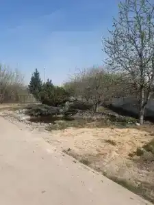 Центральный - 2