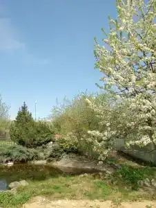 Центральный - 9