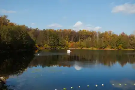 Красивая поляна - 3