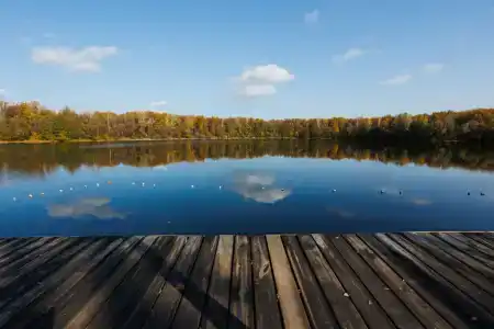 Красивая поляна - 5