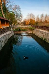 Родничок - 22