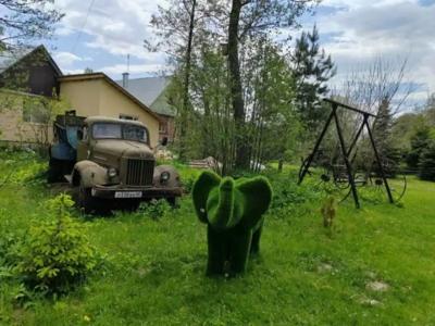 Залесье - 11