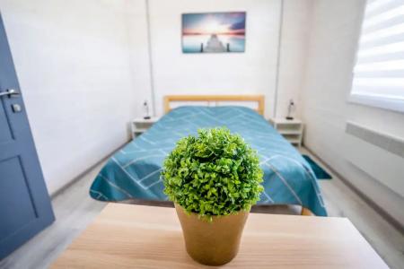 Дом Капитана - 29