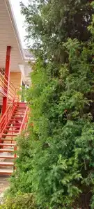Гостевой дом на Греческой - 5