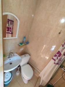 Сад_Оазис - 34