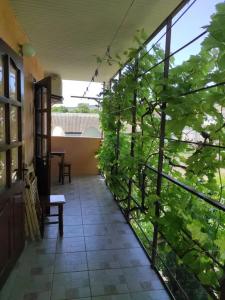 Сад_Оазис - 37