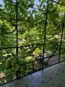 Сад_Оазис - 38