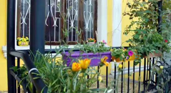 Colors Hostel - 4