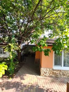 Сад_Оазис - 53