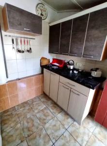 Сад_Оазис - 58