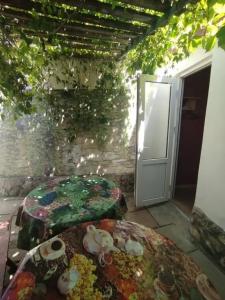 Сад_Оазис - 63