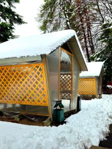 Forest Village - 3