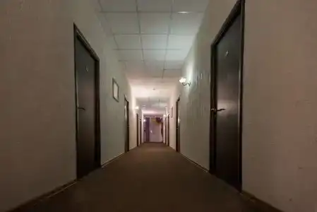 Бест - 5