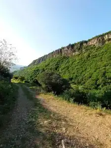 VL - 11