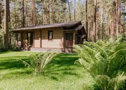 Орлиное гнездо - 5