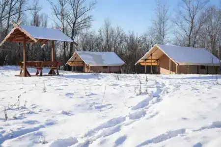 Зелень & The лень - 1