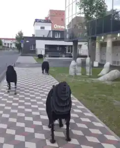 Центральный - 1