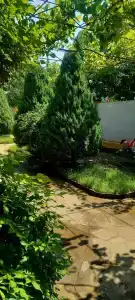 В гостях у моря - 14