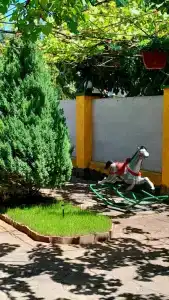 В гостях у моря - 15