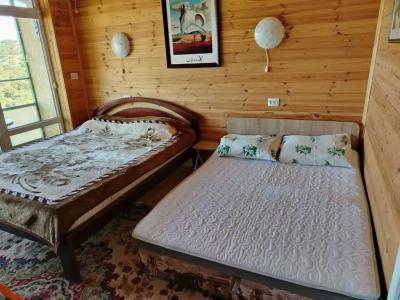 Деревянный коттедж в можжевеловой роще - 127