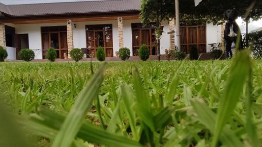 House Diamond - 27