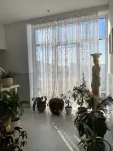 Горгиппия - 4