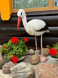 Гостевой дом у Янины - 72