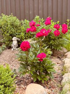 Гостевой дом у Янины - 76