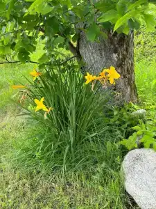 Гостевой дом у Янины - 81