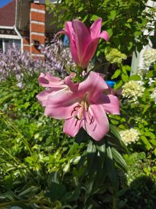 Гостевой дом у Янины - 105