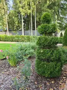 Гостевой дом у Янины - 113