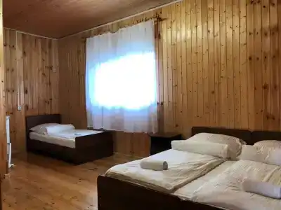 АСАС - 25