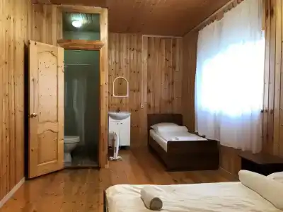 АСАС - 28
