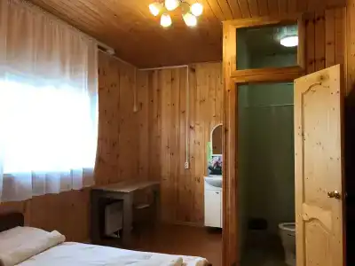 АСАС - 29
