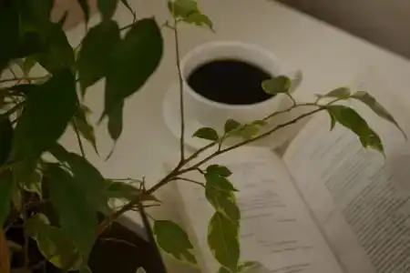 Звездная по Владивостокскому шоссе - 4